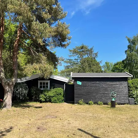 Cozy Close To Forest And *