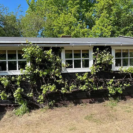 Cozy Close To Forest And