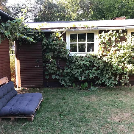 Cozy Close To Forest And 度假居 Hasle
