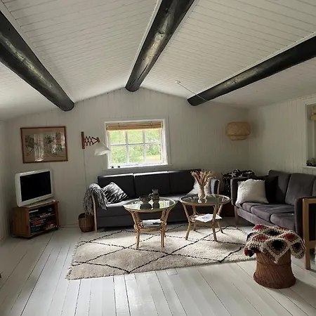 Cozy Close To Forest And