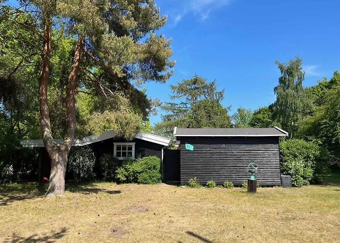 Cozy Close To Forest And *